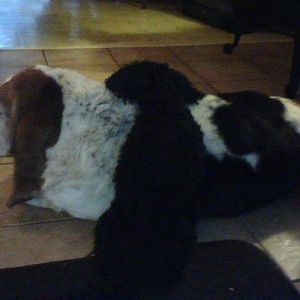 Meet your Posher, Vickie